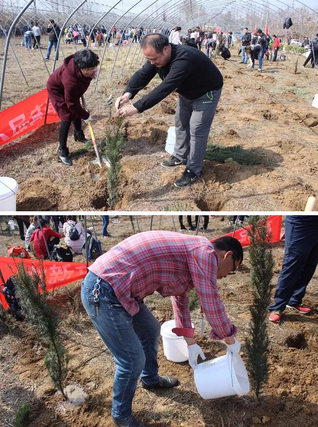 做百年事业,育百年英才——建设绿色教育生态,我们在行动