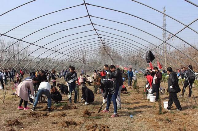 做百年事业,育百年英才——建设绿色教育生态,我们在行动